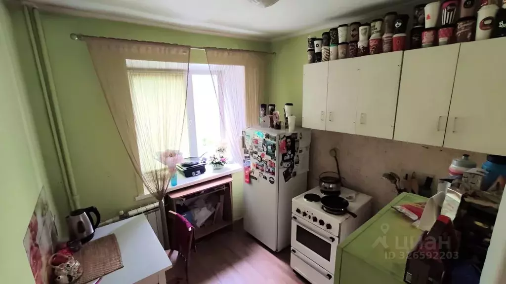 1-к кв. Алтайский край, Барнаул Молодежная ул., 50 (31.0 м) - Фото 2