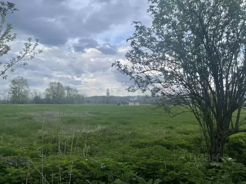 Участок в Адыгея, Майкопский район, Тимирязевское с/пос, Шунтук хут. ... - Фото 1