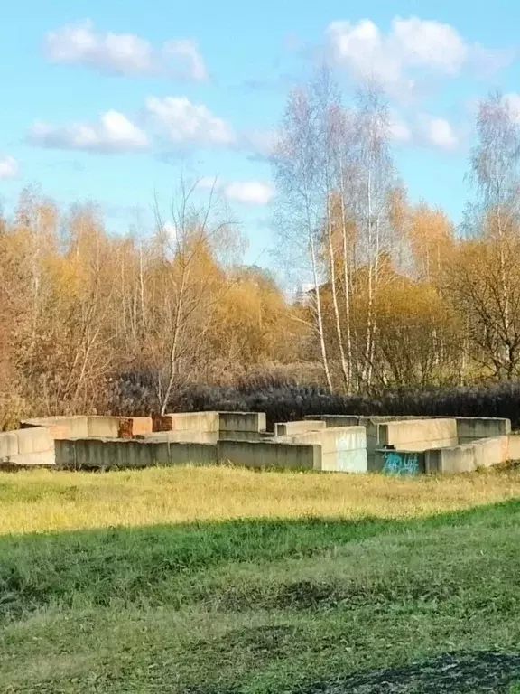 Участок в Орловская область, Орел Дачный проезд, 4 (9.2 сот.) - Фото 2