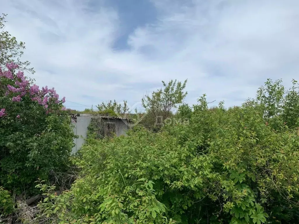 Участок в Волгоградская область, Волгоград Мичуринец СНТ, № 5 массив,  ... - Фото 1