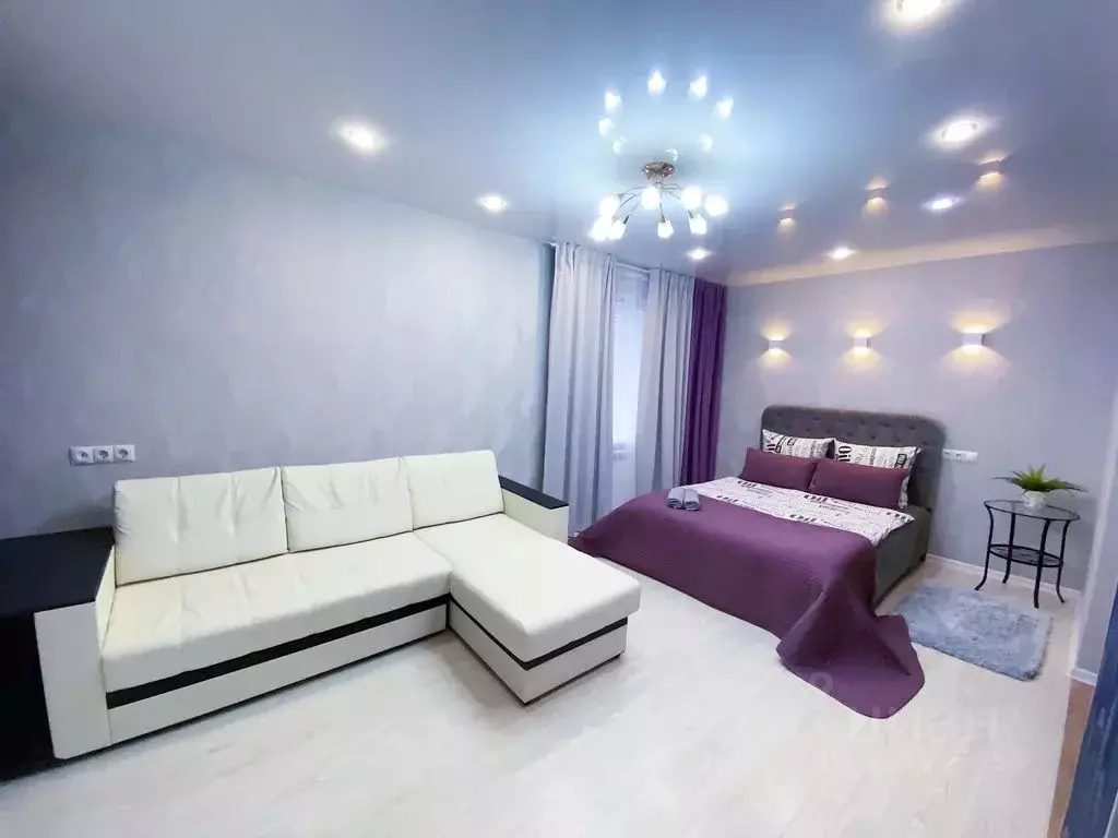 1-к кв. Нижегородская область, Дзержинск просп. Чкалова, 53А (35.0 м) - Фото 2