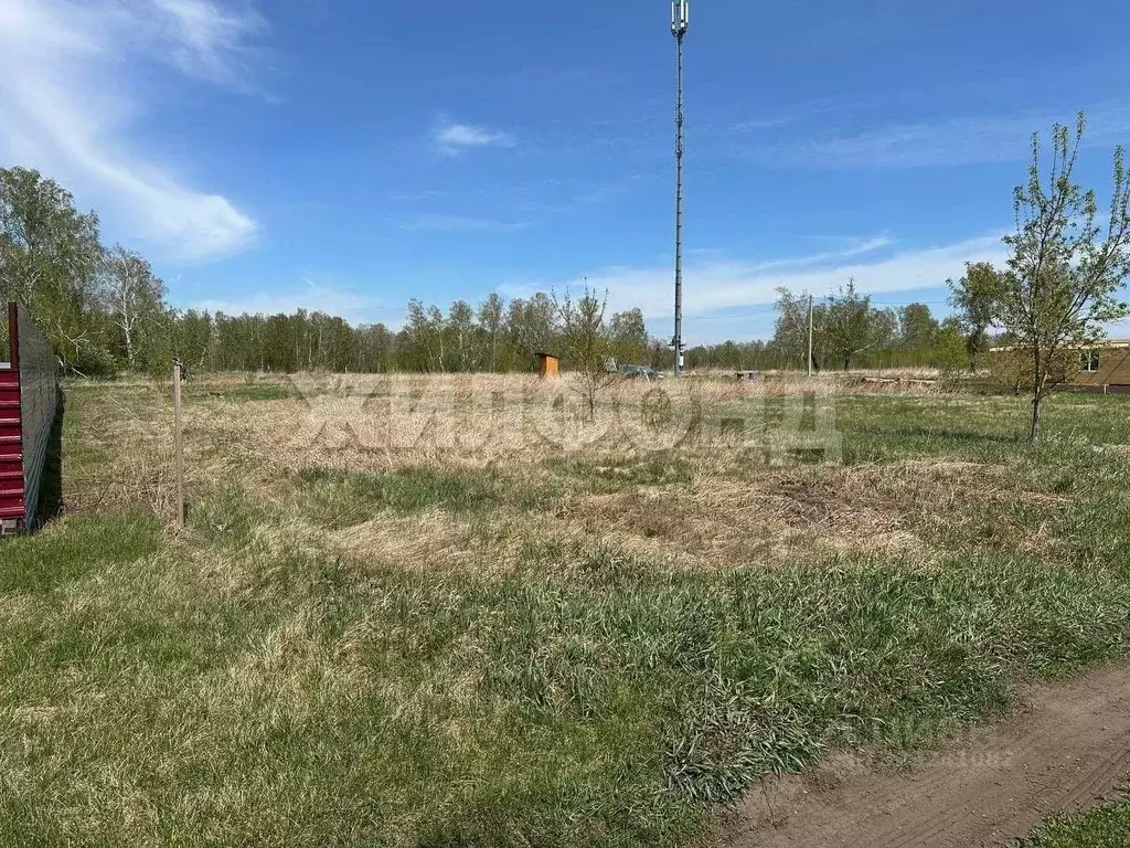 Участок в Новосибирская область, Новосибирский район, Боровской ... - Фото 1