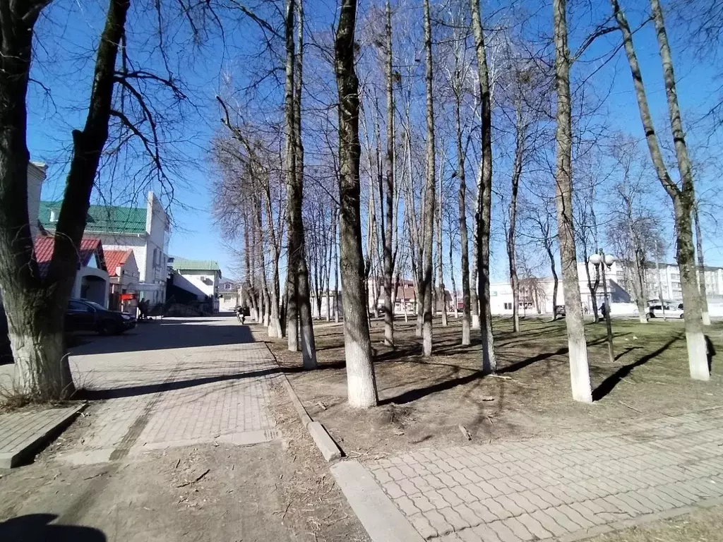Помещение свободного назначения в Брянская область, Жуковка ул. Карла ... - Фото 1