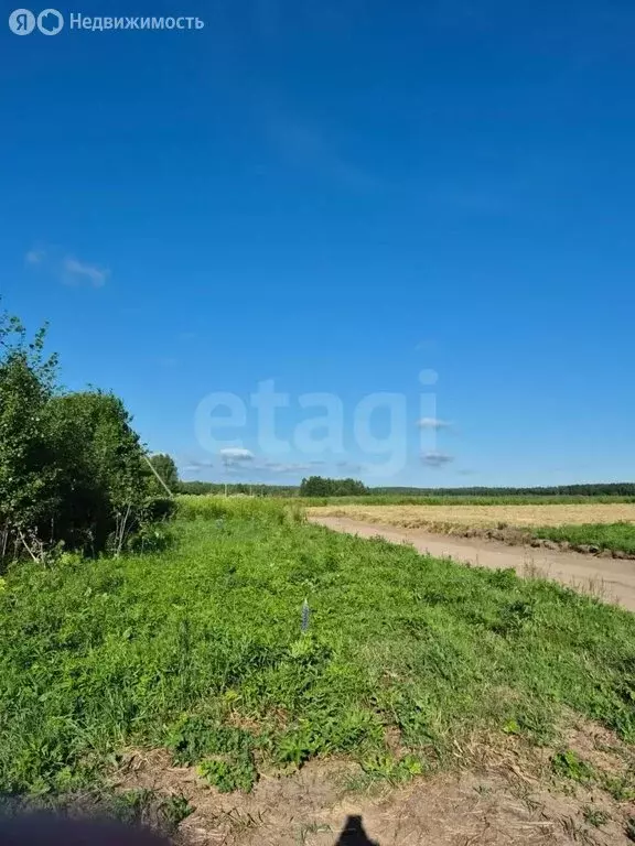 Участок в Владимирская область, Ковровский муниципальный округ, ... - Фото 1