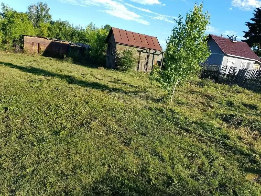 Участок в Новосибирская область, Новосибирск Сибиряк Пашинский СТ, 250 ... - Фото 0