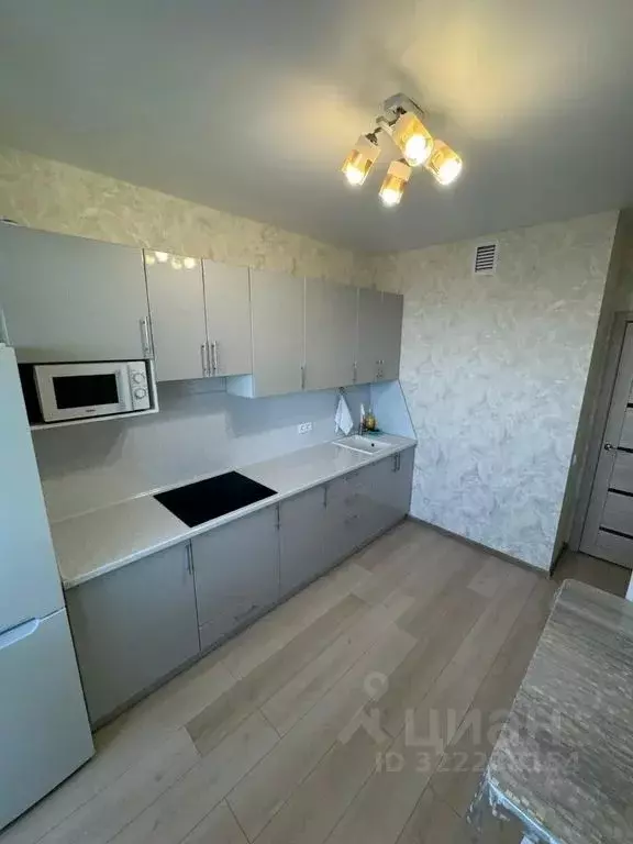 1-к кв. Волгоградская область, Волгоград ул. Степанищева, 4 (45.0 м) - Фото 2