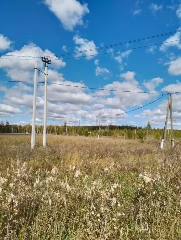 Участок в Челябинская область, Сосновский район, Кременкульское с/пос, ... - Фото 1