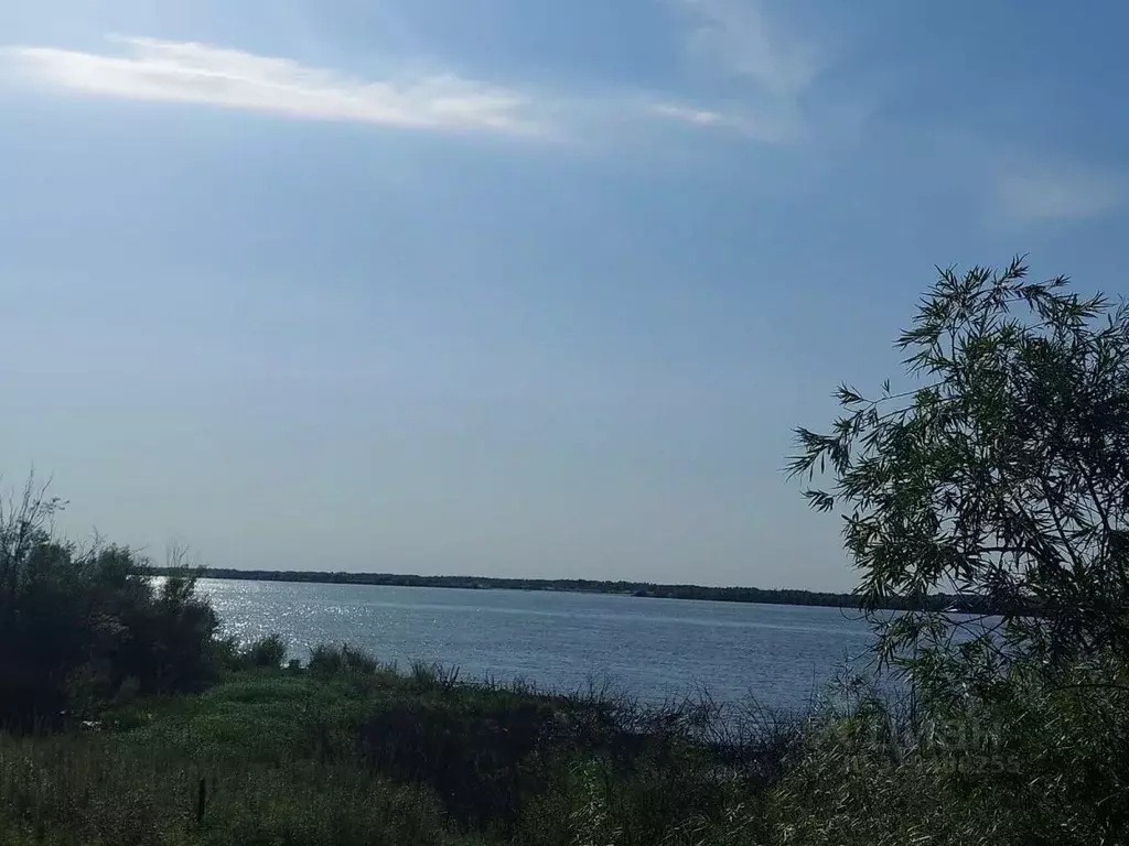 Участок в Хабаровский край, Хабаровский район, с. Краснореченское ... - Фото 0