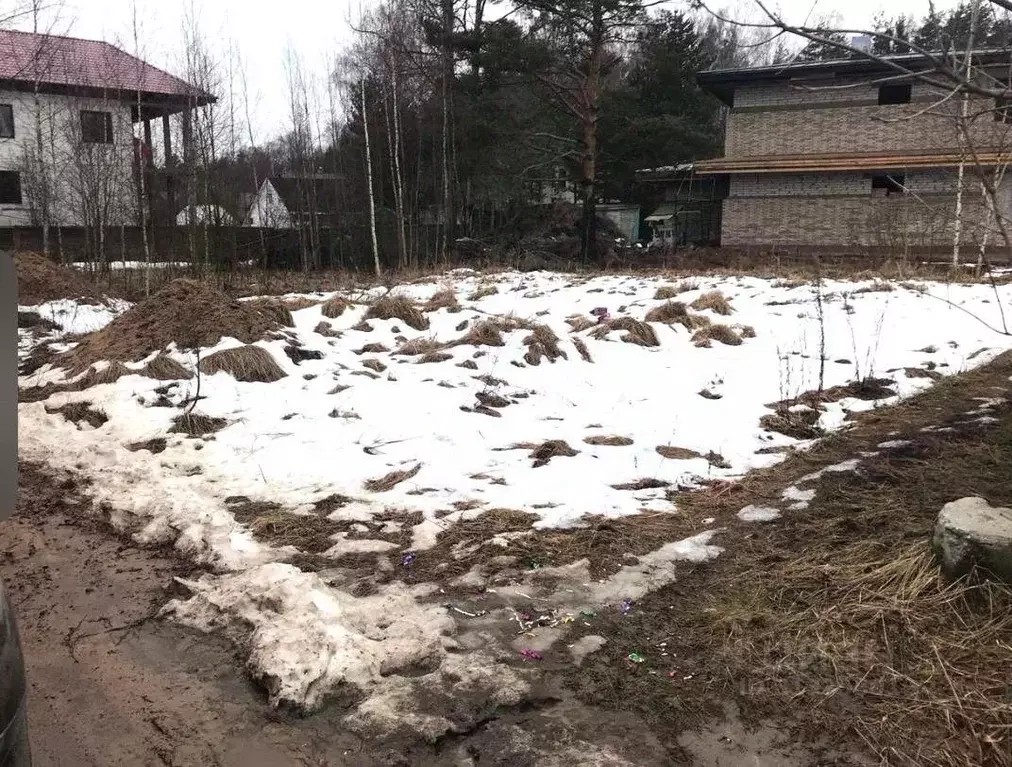 Участок в Ленинградская область, Всеволожский район, Дубровское ... - Фото 0