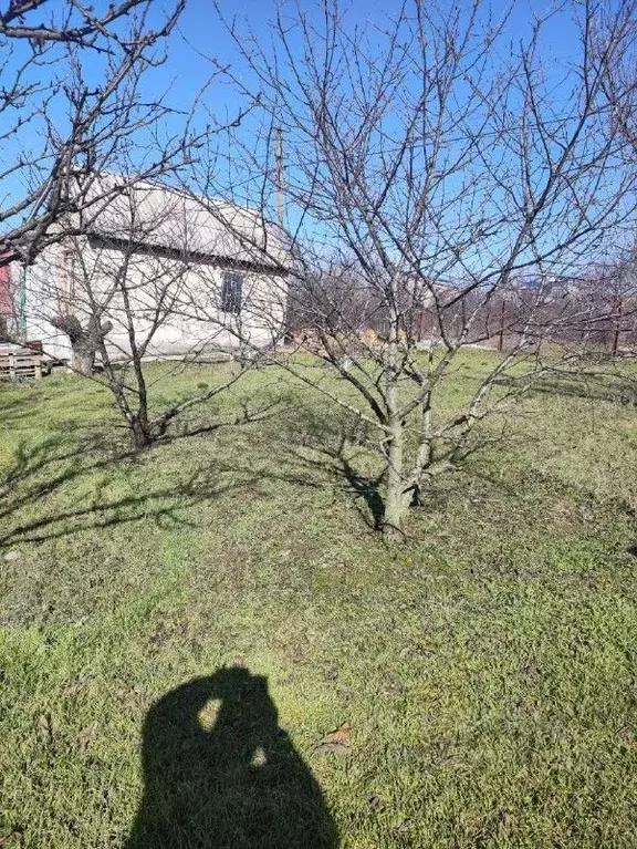 Дом в Крым, Симферопольский район, Перовское с/пос, Строитель-Юг ... - Фото 2