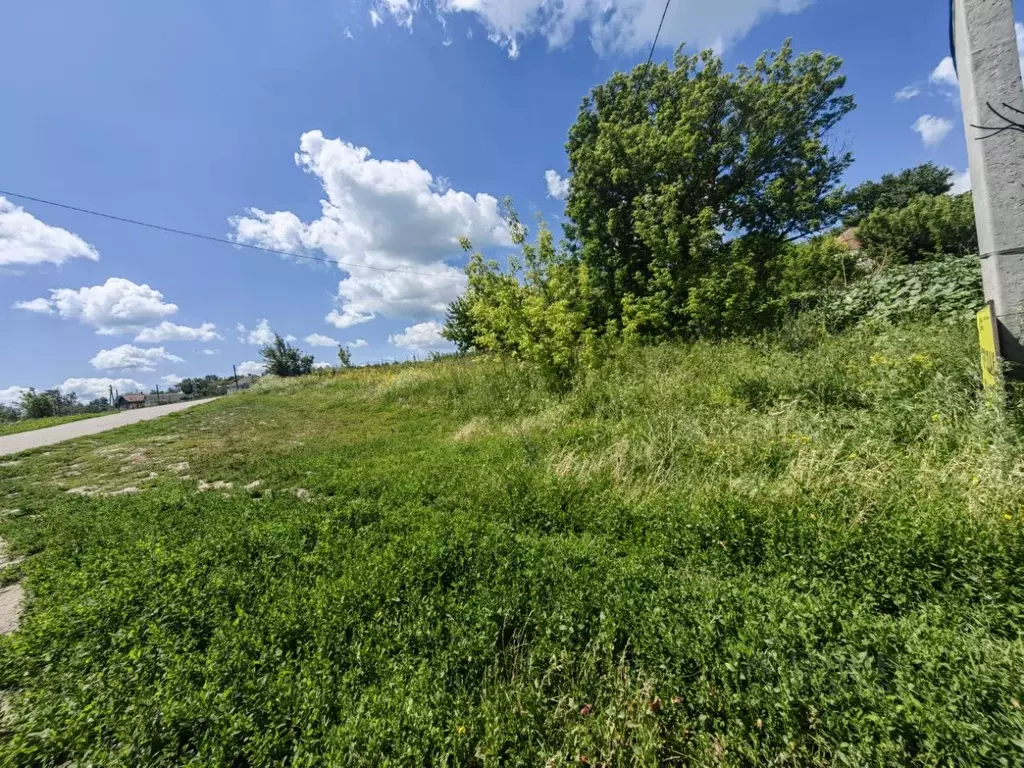 Участок в Воронежская область, Рамонский район, Новоживотинновское ... - Фото 2