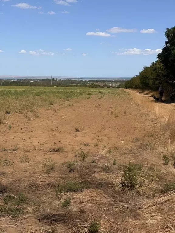 Участок в Краснодарский край, Анапа муниципальный округ, пос. ... - Фото 2