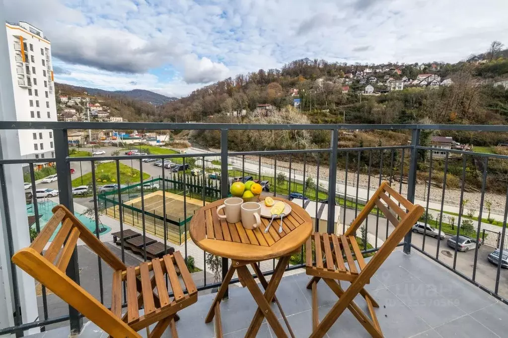 Студия Краснодарский край, Сочи ул. Искры, 88к6 (29.0 м) - Фото 2