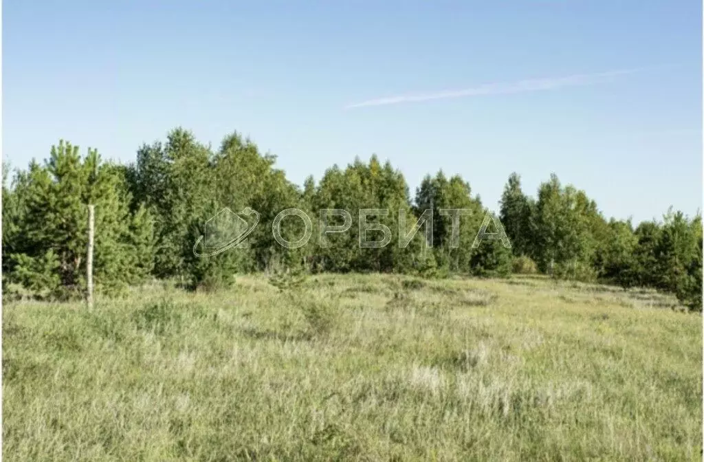 Участок в Тюменская область, Тюменский район, с. Мальково Новая ул., ... - Фото 0