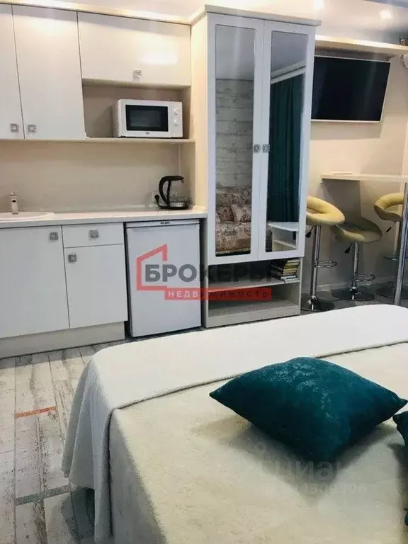 Студия Севастополь с. Орловка, ш. Качинское, 33-Б (22.0 м) - Фото 2