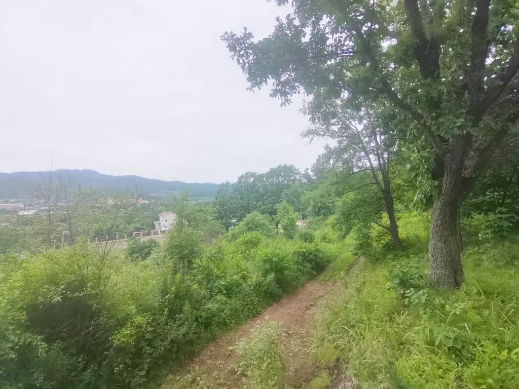 Участок, 15 сот., поселения (ижс) - Фото 1