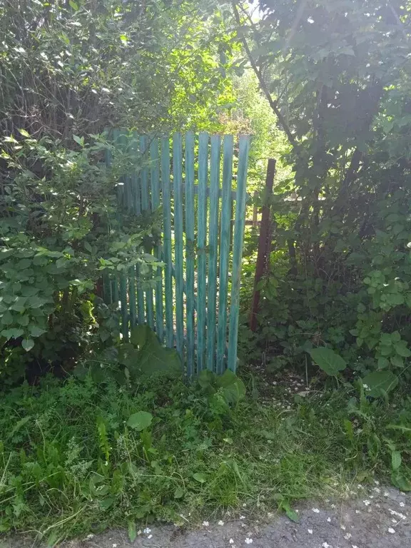 Участок в Челябинская область, Челябинск Янтарь СНТ, ул. 11-я, 23 ... - Фото 2