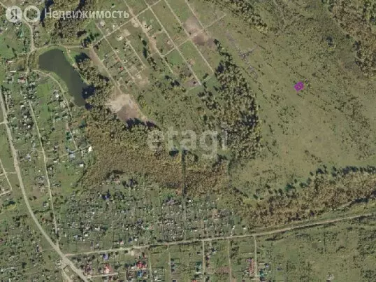 Участок в Томский район, деревня Новомихайловка, ДНП Кедры, Рубиновая ... - Фото 1