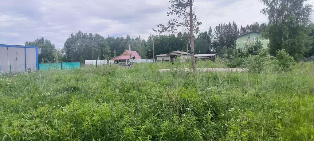 Участок 11,3 сот. (ИЖС) - Фото 0