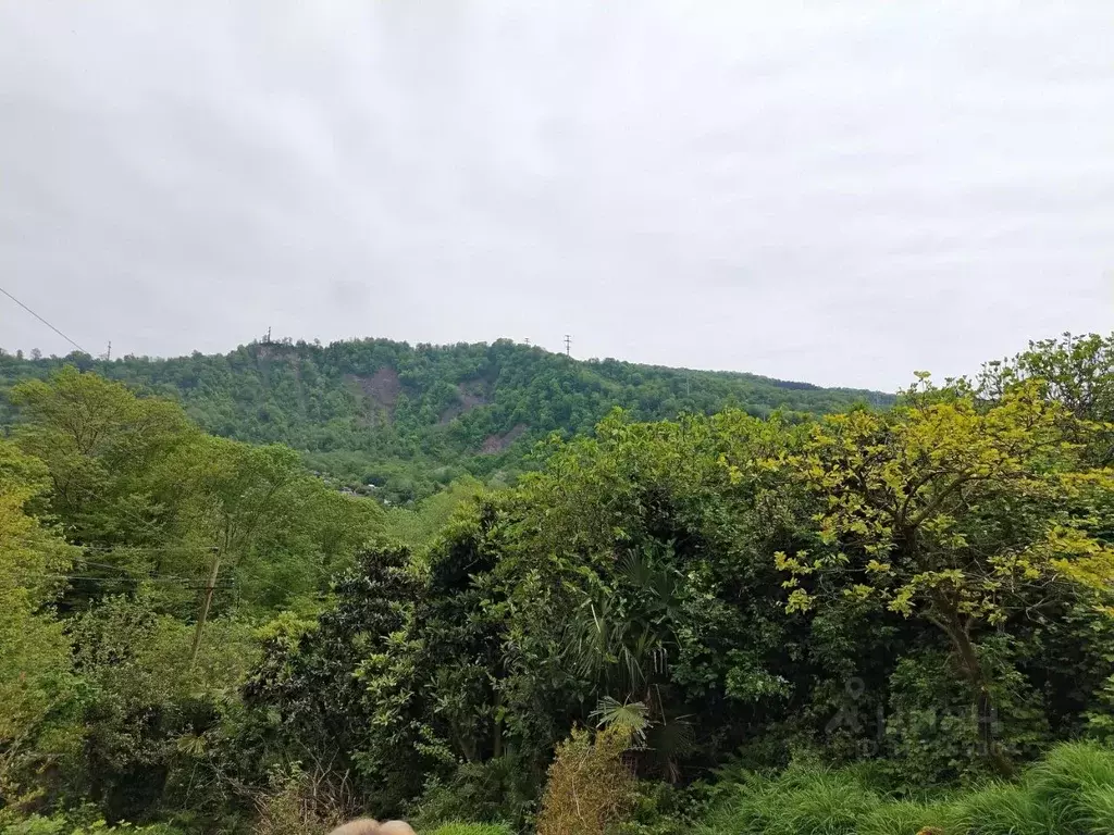 Участок в Краснодарский край, Сочи Хоста жилрайон, ул. Самшитовая ... - Фото 1