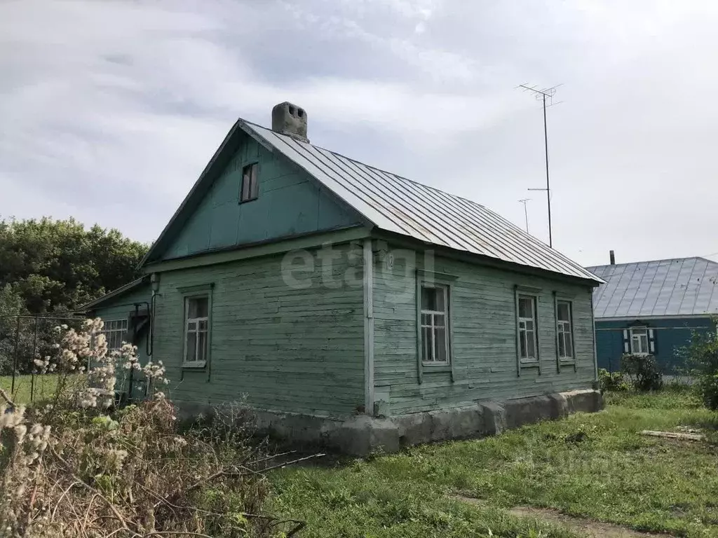 Дом в Тамбовская область, с. Сампур пер. Ленинский, 12 (46 м) - Фото 1