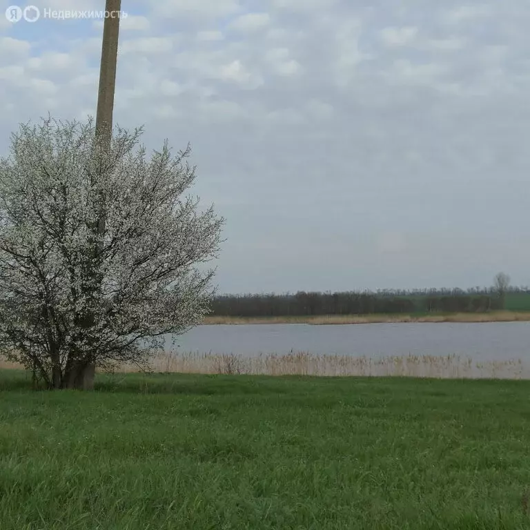 Участок в Новощербиновская, Запорожская улица (11 м) - Фото 0