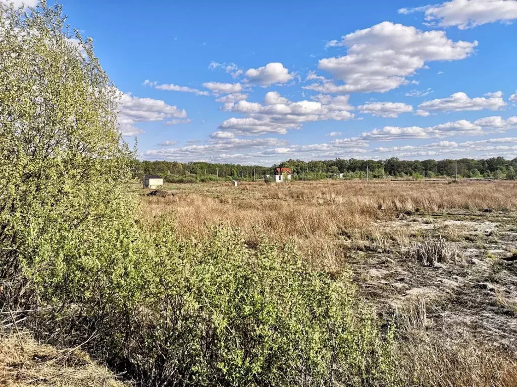 Участок в Воронежская область, Рамонский район, с. Березово ул. ... - Фото 1