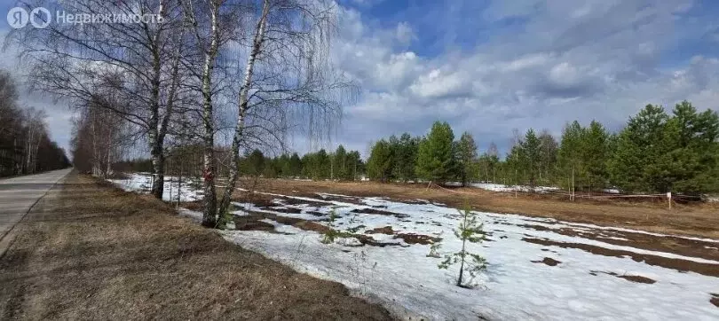 Участок в Нижегородская область, муниципальный округ Бор, село ... - Фото 1