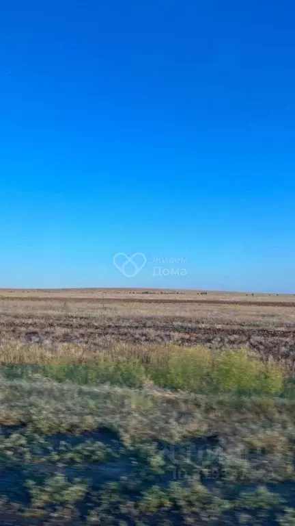 Участок в Волгоградская область, Среднеахтубинский район, Красное ... - Фото 1