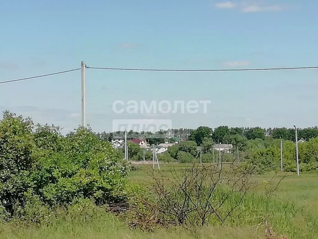 Участок в Воронежская область, Рамонский район, с. Новоживотинное  ... - Фото 1