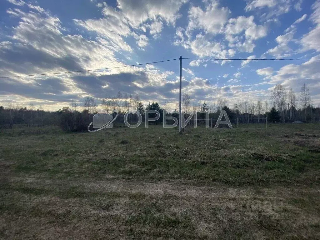 Участок в Свердловская область, Тугулымский муниципальный округ, с. ... - Фото 1