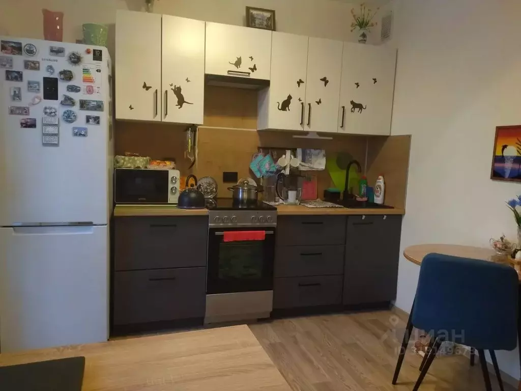 Студия Санкт-Петербург ул. Чарушинская, 22к1 (20.4 м) - Фото 0