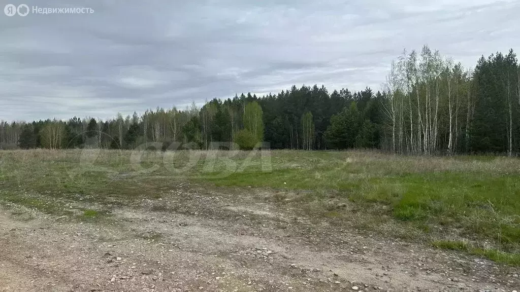 Участок в Свердловская область, Тугулымский муниципальный округ, ... - Фото 1