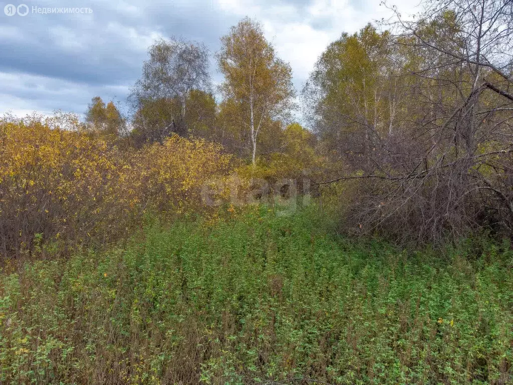 Участок в Тюмень, ДНТСН Зелёный Бор, Лесная улица (6 м) - Фото 2