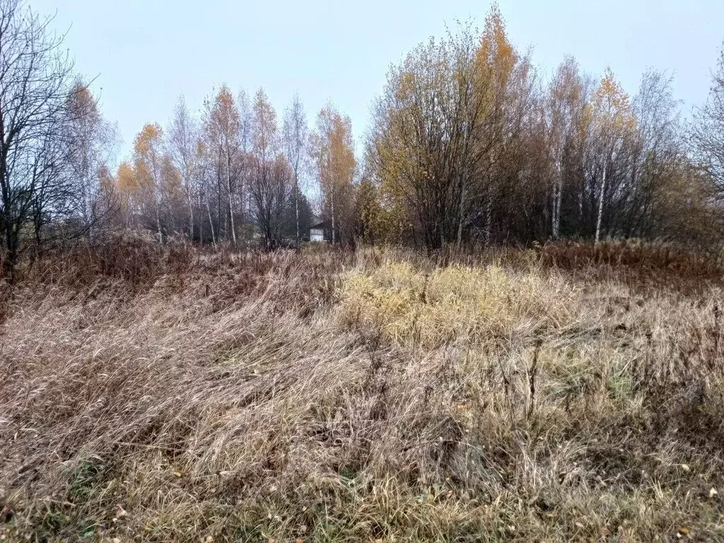 Участок в Московская область, Сергиево-Посадский городской округ, д. ... - Фото 0