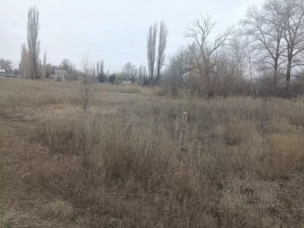 Участок в Волгоградская область, Среднеахтубинский район, Суходольское ... - Фото 1