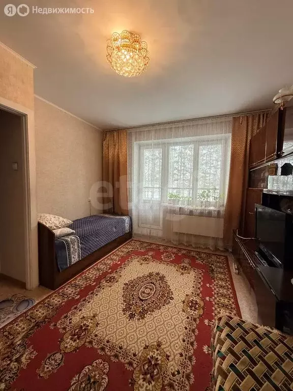 1-комнатная квартира: Кемерово, проспект Шахтёров, 80 (25.9 м) - Фото 2