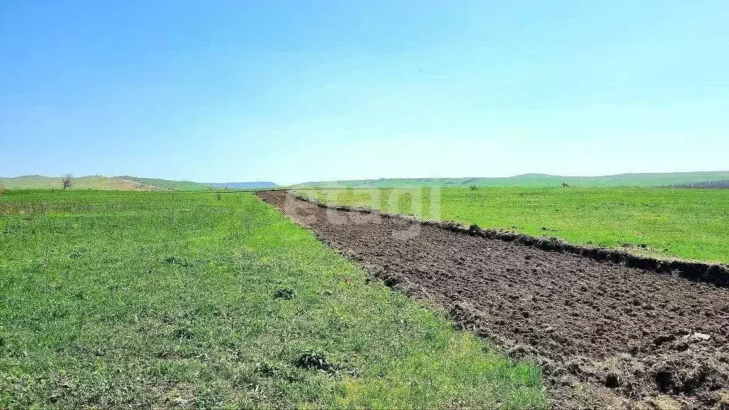 Участок в Ставропольский край, Шпаковский муниципальный округ, Долина ... - Фото 0