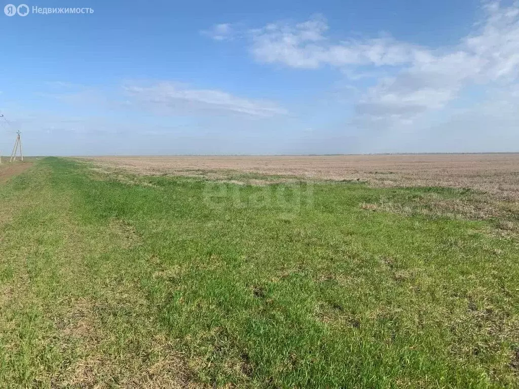 Участок в Колодезянское сельское поселение, село Докучаево (190.54 м) - Фото 2