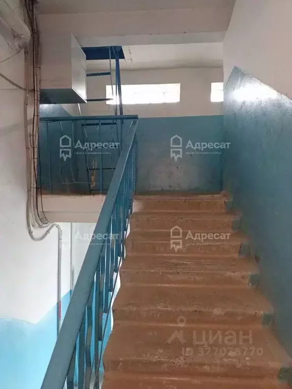 2-к кв. Волгоградская область, Волгоград Алексеевская ул., 25 (45.2 м) - Фото 2