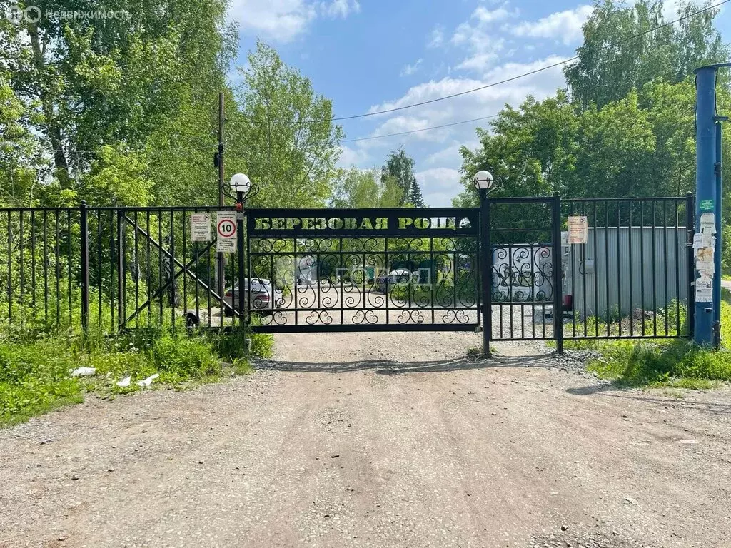 Участок в Новосибирск, СТ Берёзовая Роща, 99 (6 м) - Фото 0