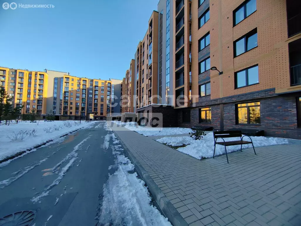 2-комнатная квартира: Новосибирск, улица Василия Клевцова, 3 (50 м) - Фото 2