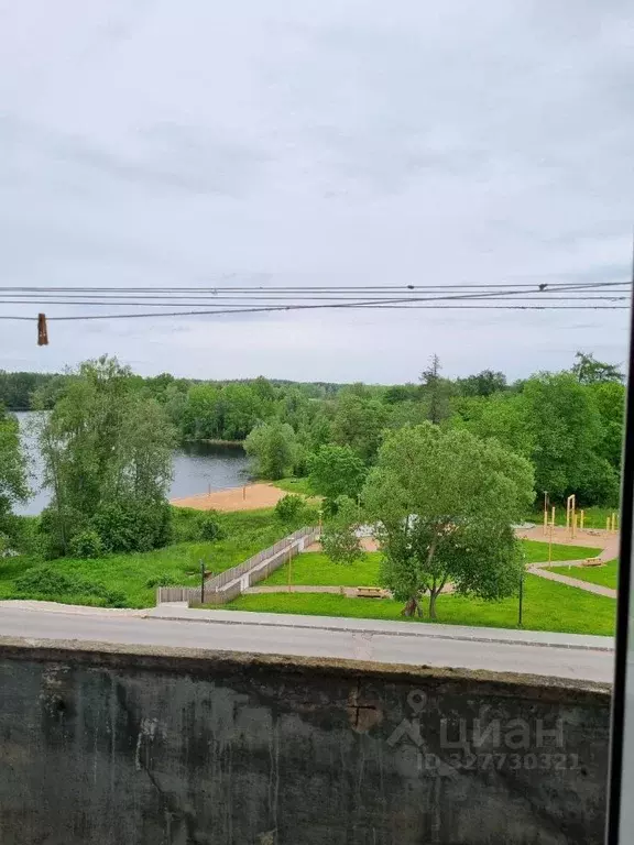 3-к кв. Ленинградская область, Приозерский район, Мельниковское с/пос, ... - Фото 2