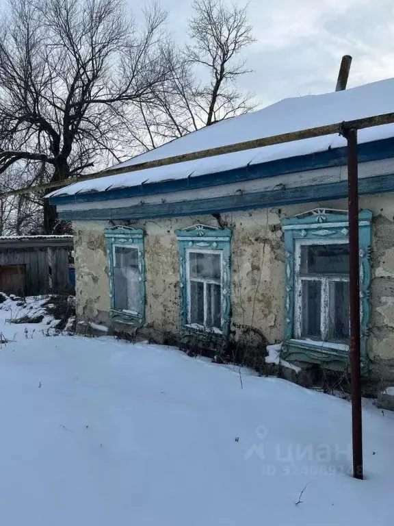 Участок в Мордовия, Ромодановский район, д. Лыковщина Республиканская ... - Фото 1