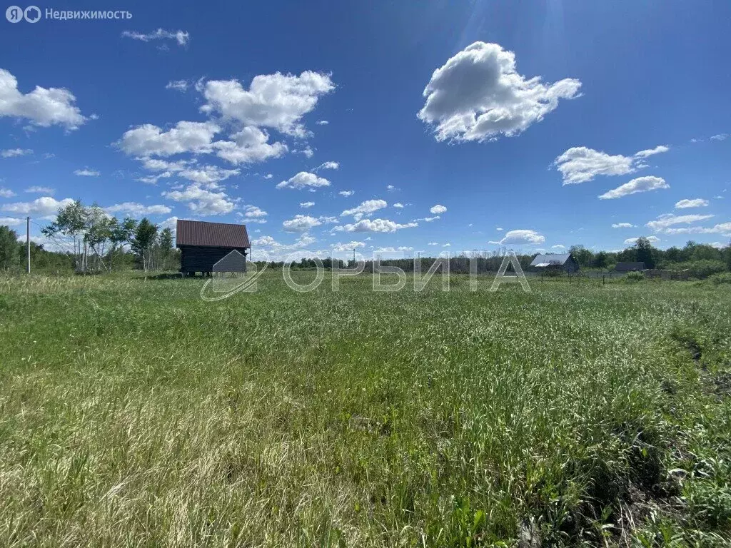 Участок в Нижнетавдинский район, садовое товарищество Душевное, 1-я ... - Фото 1