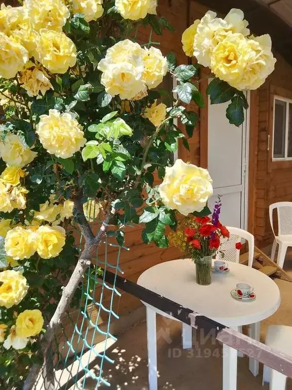 Дом в Краснодарский край, Темрюкский район, Фонталовское с/пос, пос. ... - Фото 2