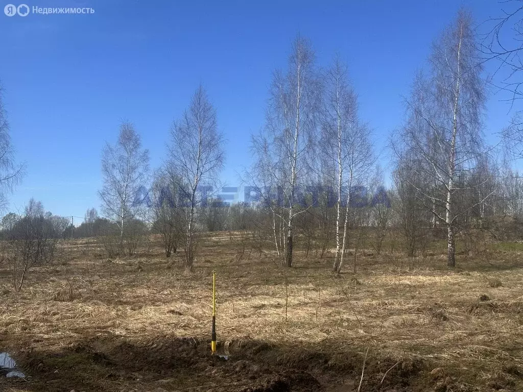 Участок в Ярославская область, Переславль-Залесский муниципальный ... - Фото 1