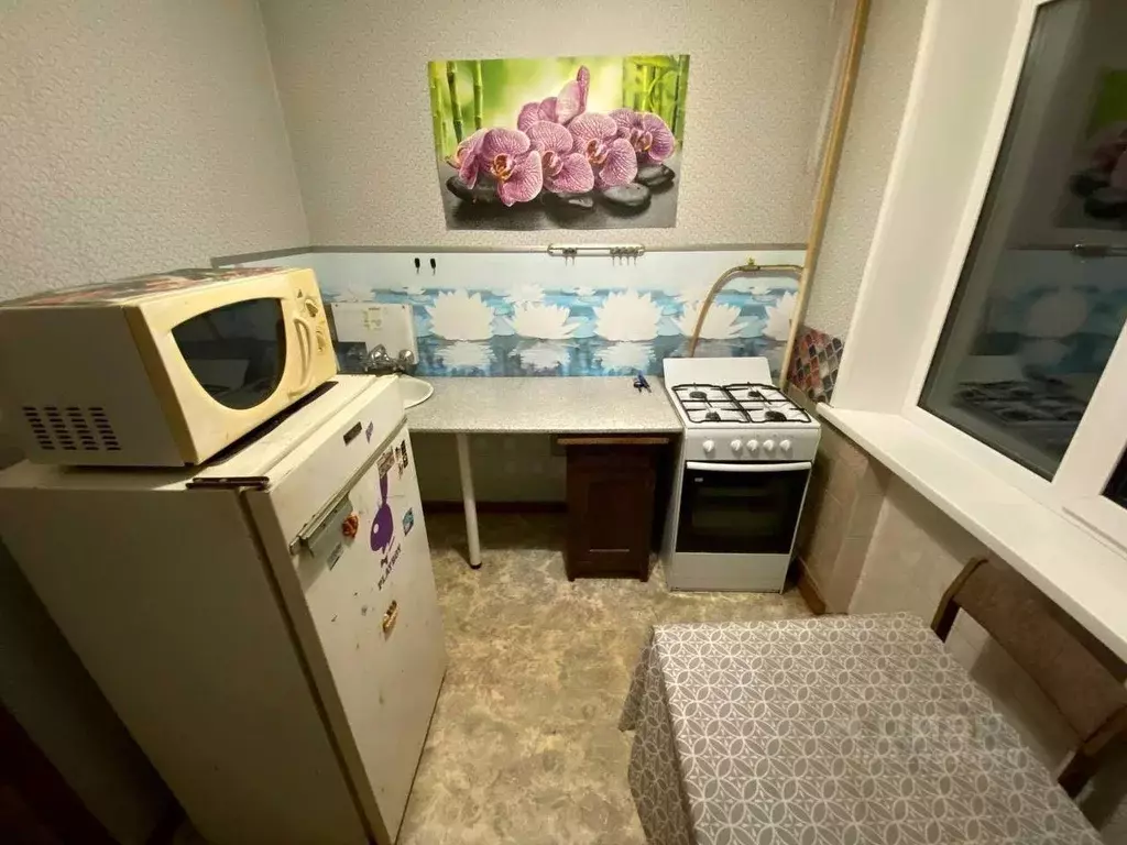 1-к кв. Челябинская область, Челябинск ул. Кирова, 4А (30.0 м) - Фото 1