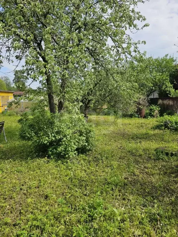 Участок в Санкт-Петербург Дружный-1 СНТ, 8-я линия, 27 (6.39 сот.) - Фото 1