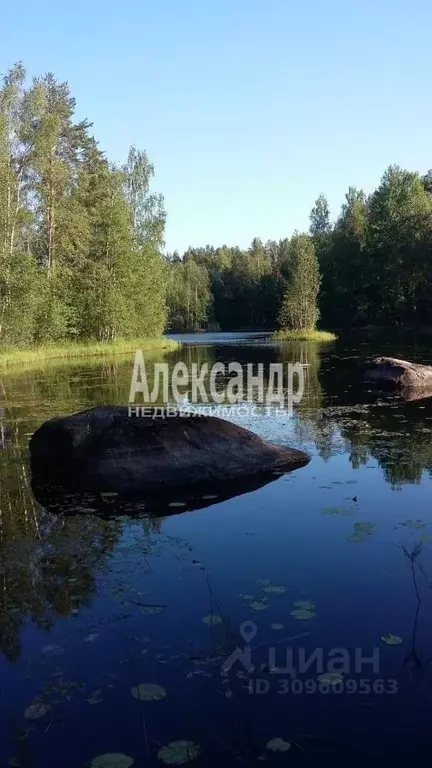 Участок в Ленинградская область, Приозерский район, Мельниковское ... - Фото 0